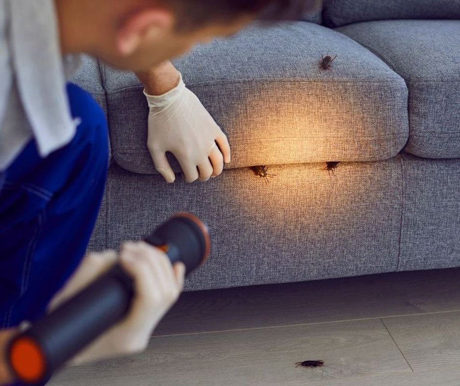Kammerjäger untersucht mit Taschenlampe eine Sitzgruppe auf Befall